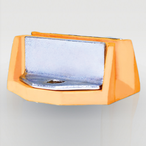 Nylon Shoe With Plate